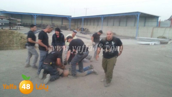 police i3teda2 lud 0527 (13).JPG